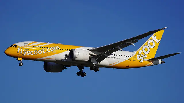 Scoot Boeing 787-8 Dreamliner aircraft