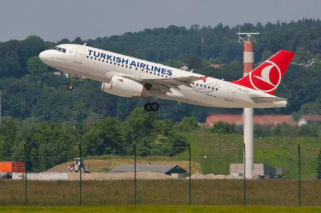Turkish Airlines Airbus A319 aircraft