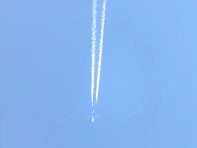 WestJet Boeing 737 MAX 8 aircraft